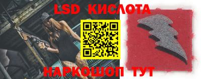 прущие грибы Кингисепп