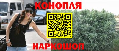 прущие грибы Кингисепп