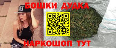 прущие грибы Кингисепп